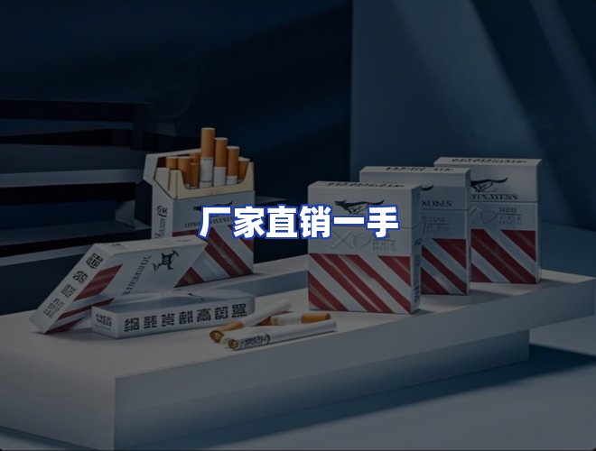 专业团队